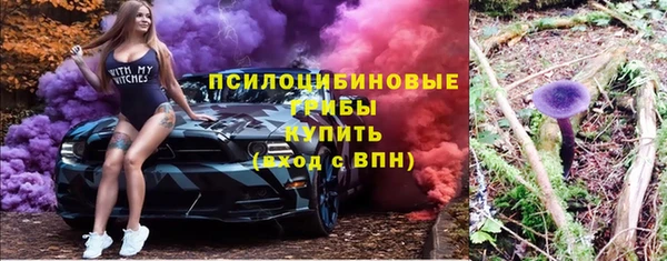альфа пвп Дмитровск