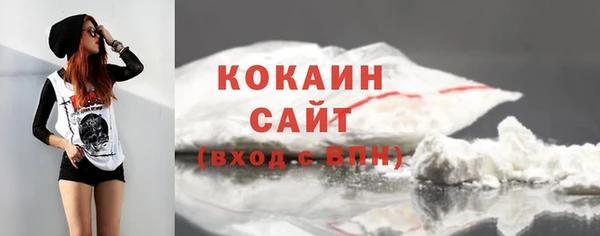 прущие крисы Дмитриев