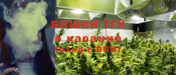 прущие крисы Дмитриев