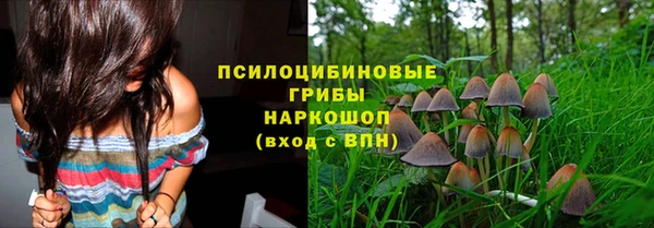 прущие крисы Дмитриев