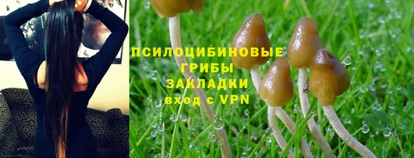 ECSTASY Дмитров