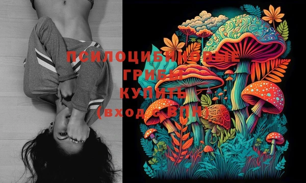 прущие крисы Дмитриев