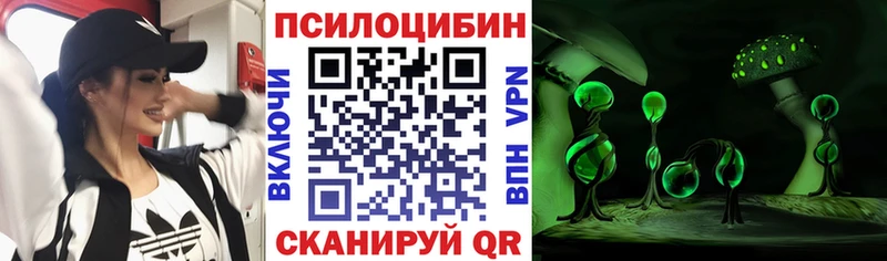 Псилоцибиновые грибы Cubensis Озёрск